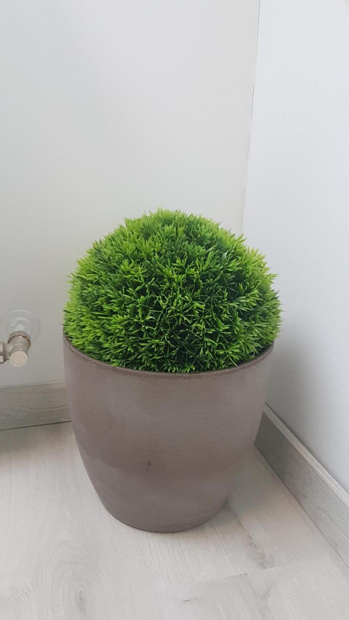 Promenad Apartman Mohács المظهر الخارجي الصورة